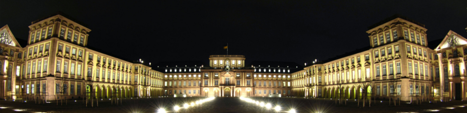 Mannheim Palace at Night
