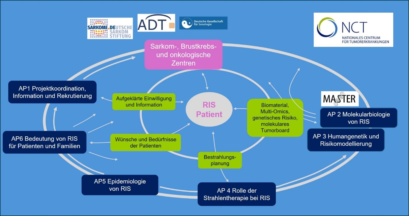 Illustrative Grafik der Verbundstruktur