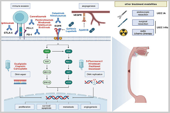 Schematische Darstellung des Themas