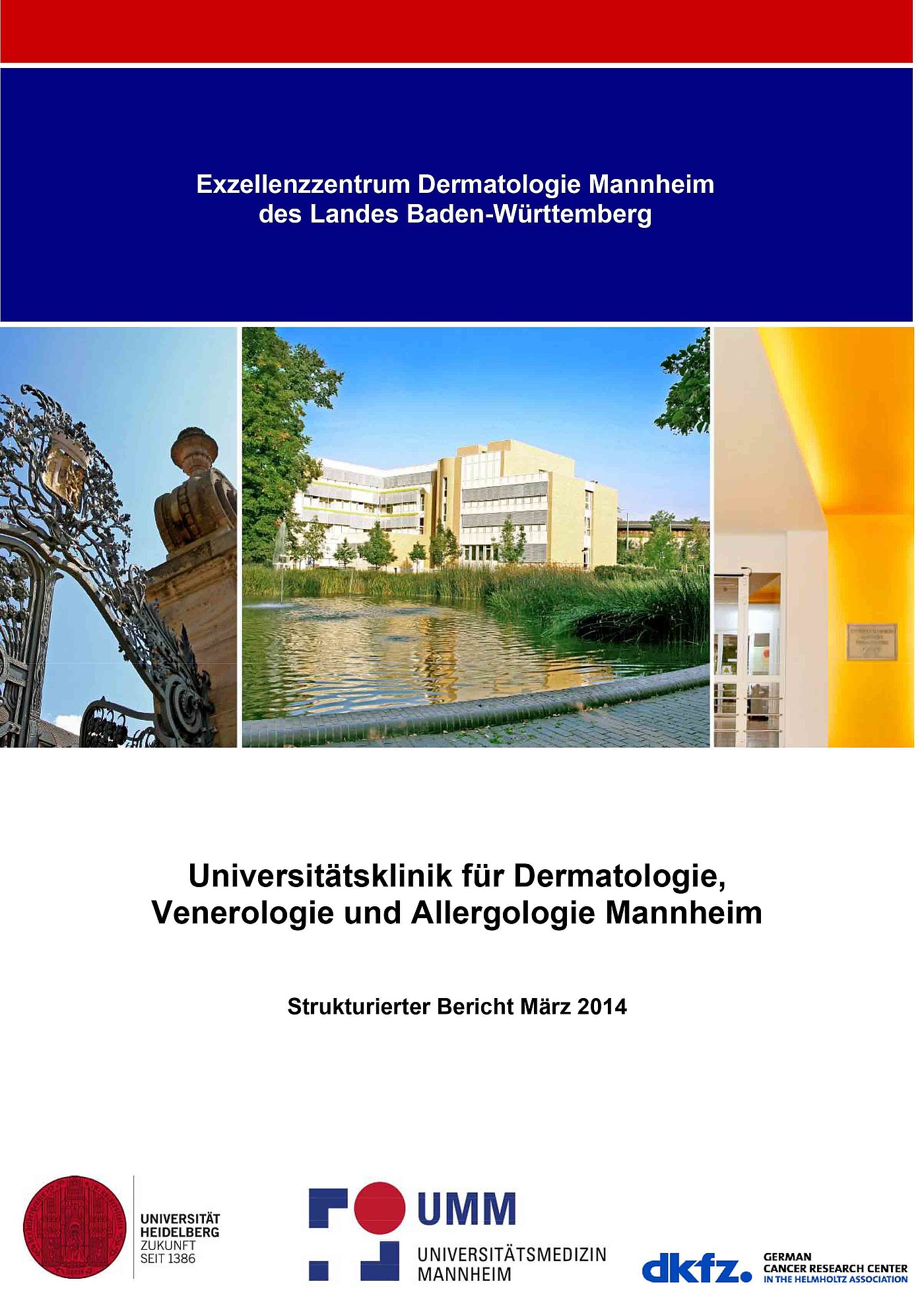 Universitätsklinik für Dermatologie, Venerologie und Allergologie Mannheim: Strukturierter Bericht 2014