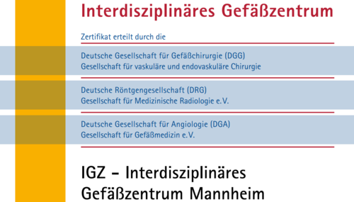 Zertifizierung als Interdisziplinäres Gefäßzentrum (PDF)