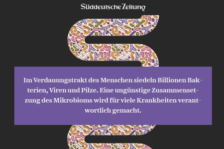 Artikel in der SZ