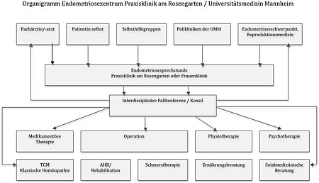 Organigramm Endometriosezentrum