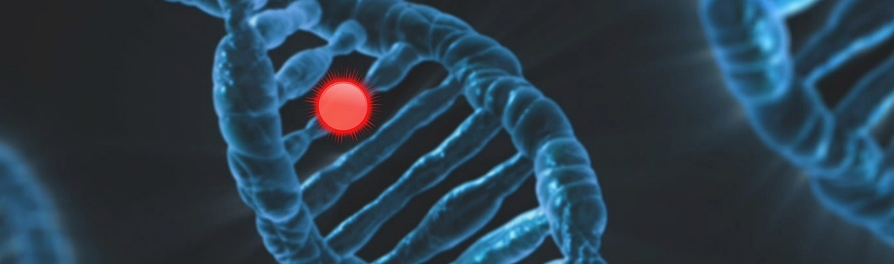 DNA mit rotem Leuchtpunkt