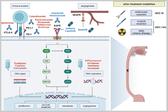 Schematische Darstellung des Themas