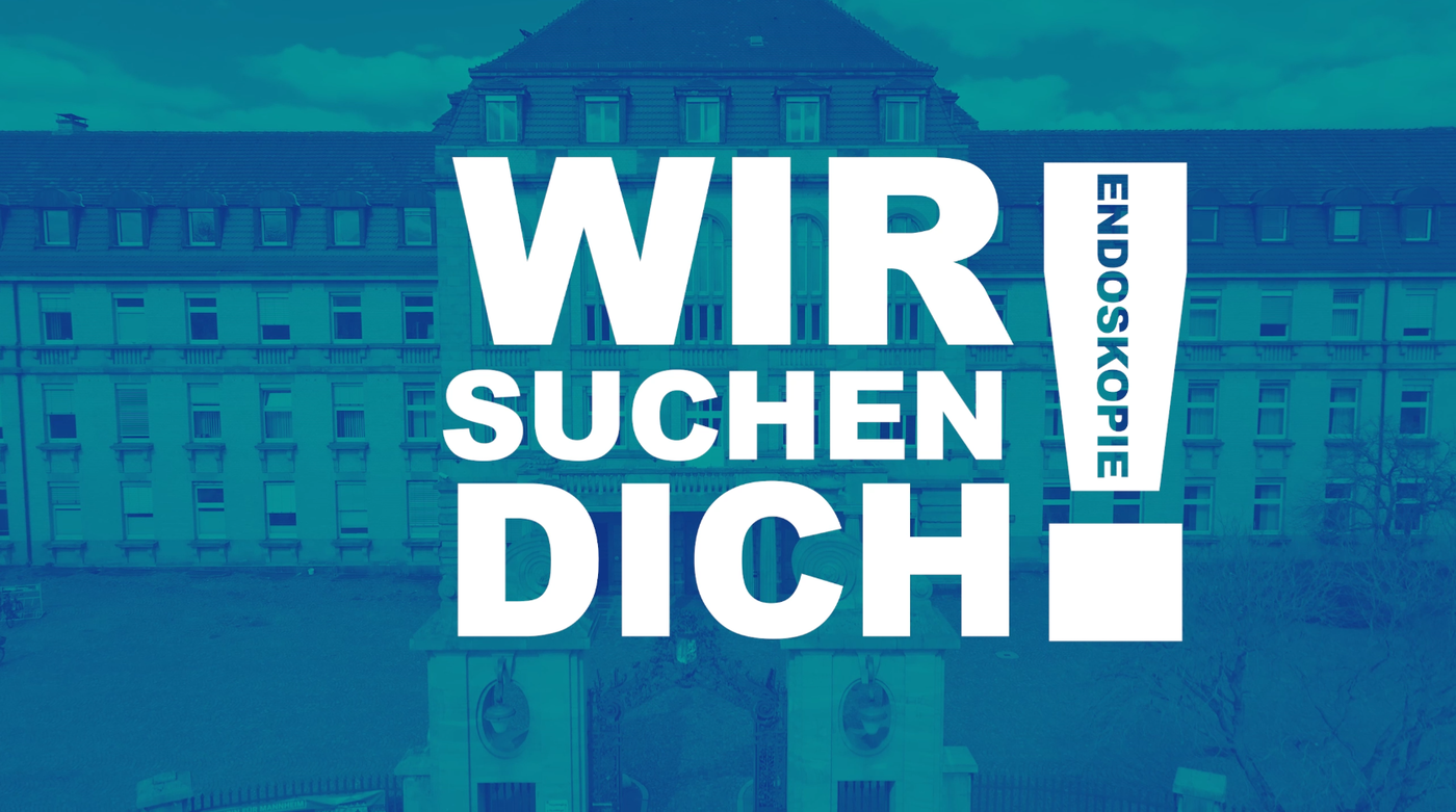 Weiße Schrift auf grünen Hintergrund: Wir suchen Dich.