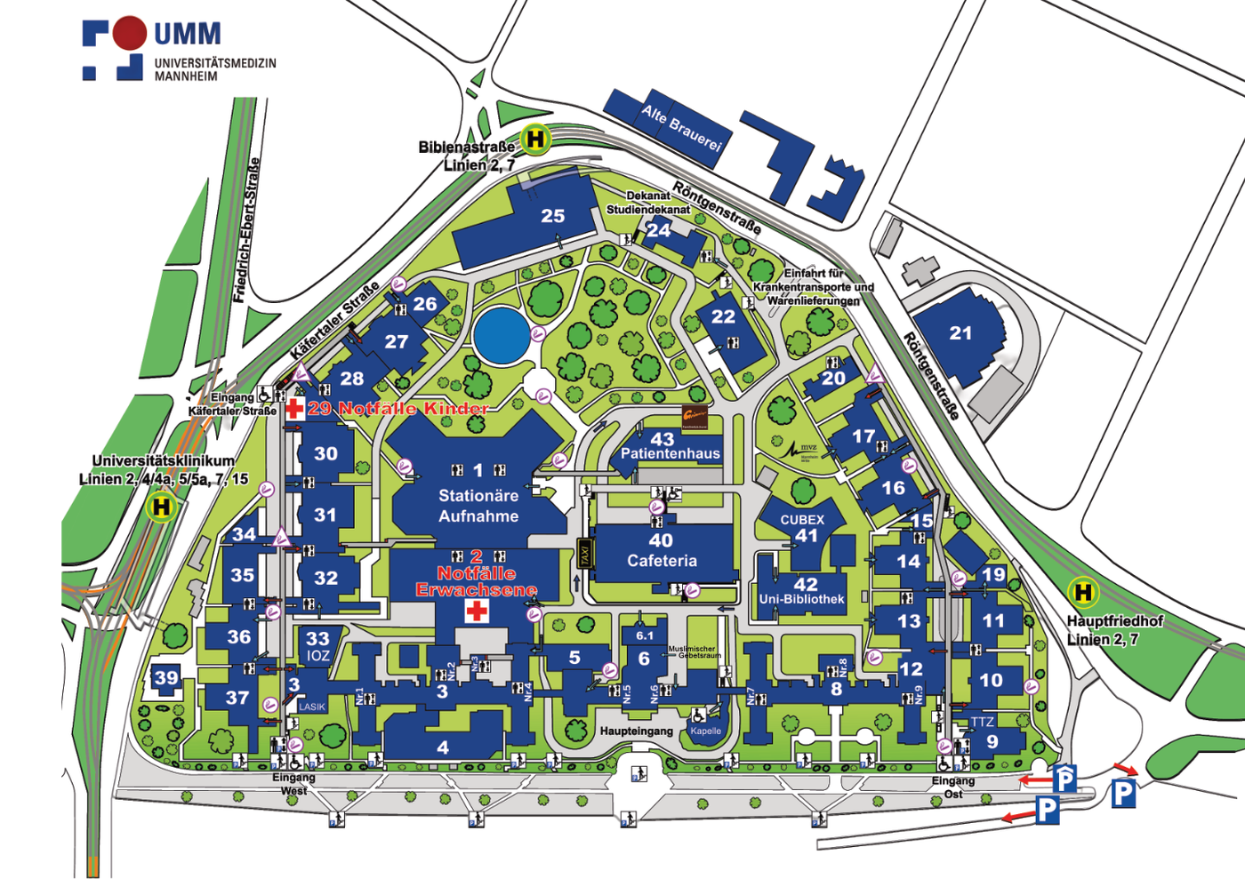 Grafischer Lage- und Gebäudeplan des Universitätsklinikums Mannheim. Darstellung des gesamten Klinikcampus zwischen Käfertaler Straße, Röntgenstraße und dem Hauptfriedhof. Alle Gebäude sind nummeriert und farblich hervorgehoben, Wege und Grünflächen sind eingezeichnet. Markiert sind unter anderem: Notaufnahme Erwachsene (Gebäude 2), Notaufnahme Kinder (Gebäude 29), Stationäre Aufnahme im Zentrum, Haupt- und Osteingang, Cafeteria (Gebäude 40), Patientenhaus (Gebäude 43), CUBEX 41 und Uni-Bibliothek (Gebäude 42). Bushaltestellen, Parkflächen, Einfahrten für Krankentransporte sowie zentrale Orientierungspunkte wie Kapelle, IOZ, Studierendensekretariat und verschiedene Kliniken sind eingezeichnet